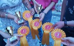 medali_250x154_crop_478b24840a