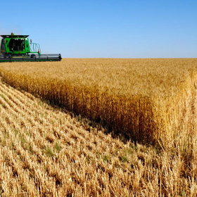 photo-24_280x280_crop_478b24840a