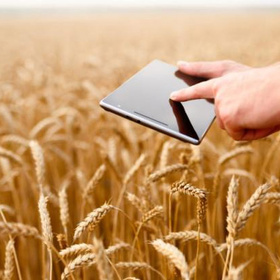 vijte-kak_280x280_crop_478b24840a