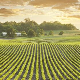 globalnite-pazari-na-hrani_280x280_crop_478b24840a