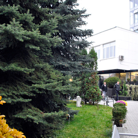 dsc0007-copy_280x280_crop_478b24840a