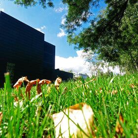 1922262_280x280_crop_478b24840a