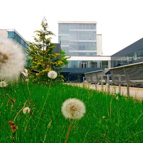 1799891_280x280_crop_478b24840a