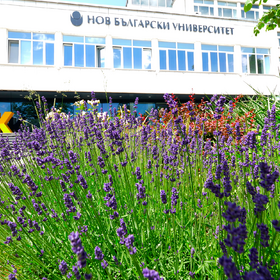 1811641_280x280_crop_478b24840a