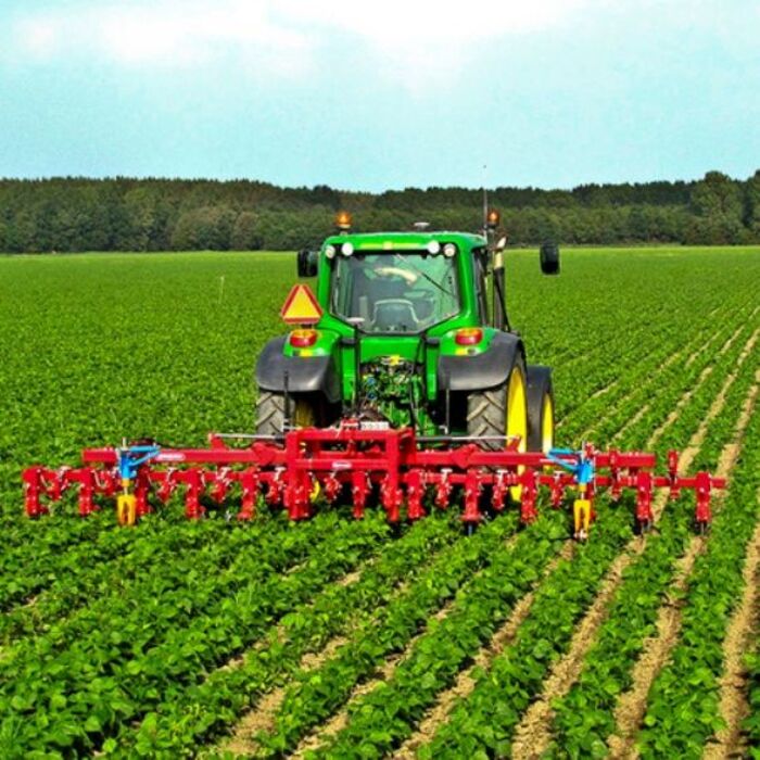 010-pronewsdobrich-bg_700x700_crop_478b24840a