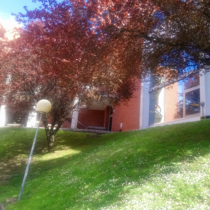 bilbao-uni-2_700x700_crop_478b24840a