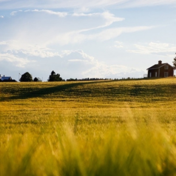 perspektivite-pred-selskite-raioni_700x700_crop_478b24840a