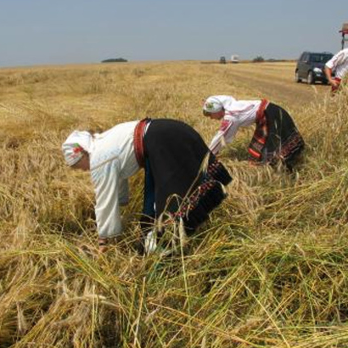 nai-konkurentni_700x700_crop_478b24840a