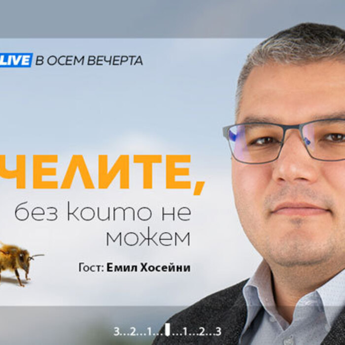 emil-hoseini-sp-8_700x700_crop_478b24840a