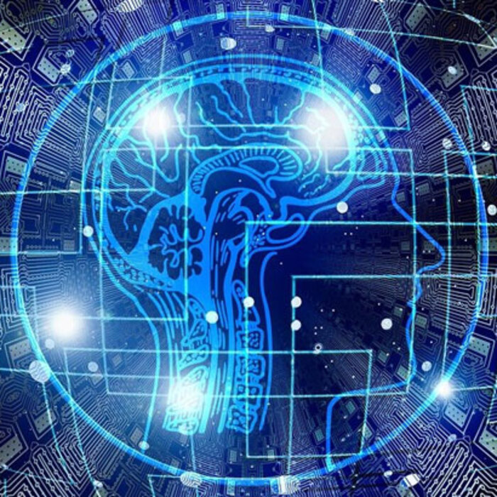 izkustven-intelekt-pixabay_700x700_crop_478b24840a