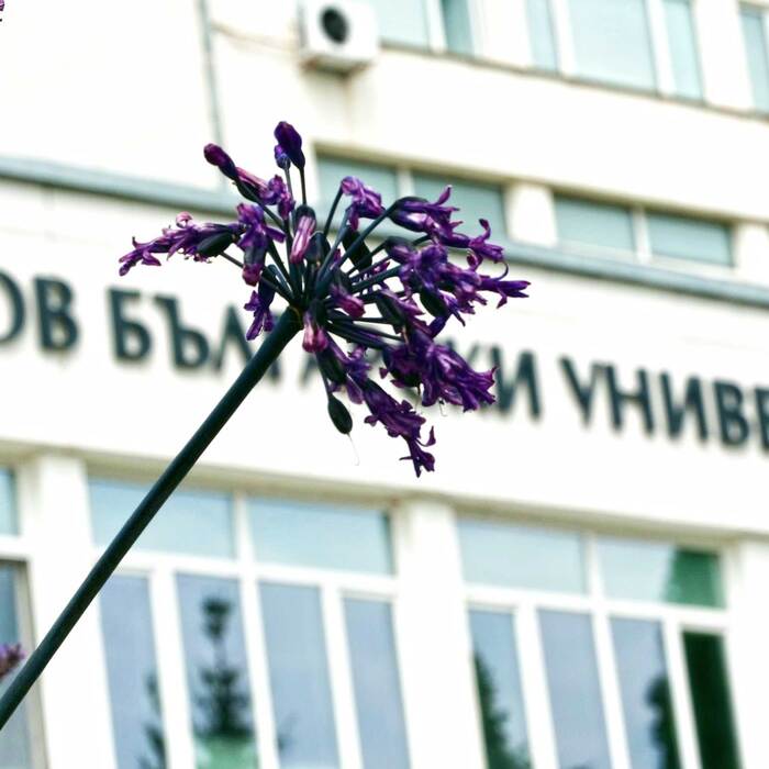 1366862_700x700_crop_478b24840a