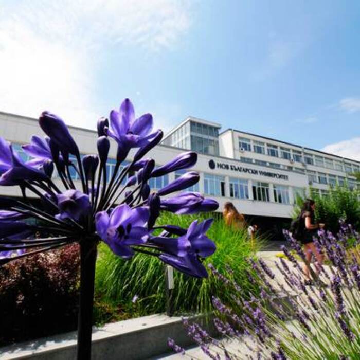 1899019-678x410-crop-478b24840a_700x700_crop_478b24840a