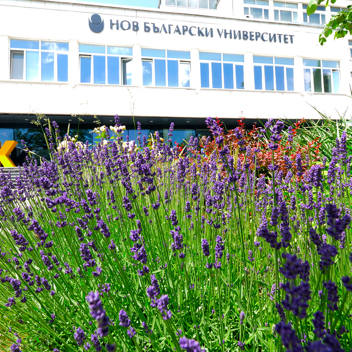 1811641_700x700_crop_478b24840a