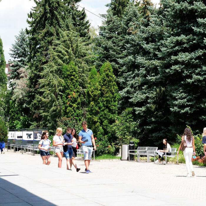 1899540_700x700_crop_478b24840a